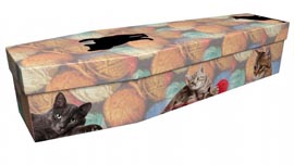 cardborad cat themed coffin