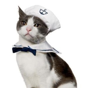 sailor-halloween-cat-costume